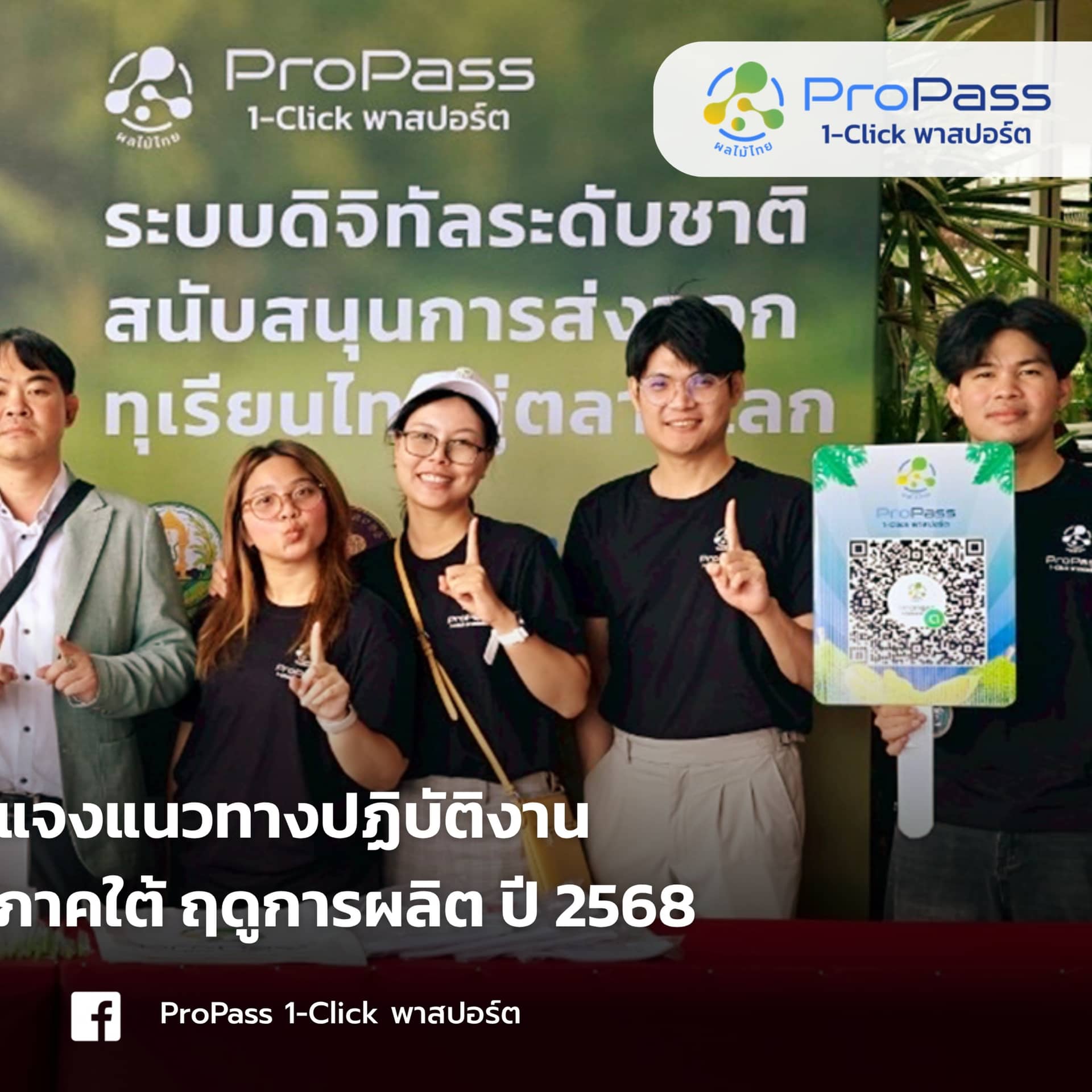 image 4 - ProPass ลงพื้นที่จังหวัดชุมพร ณโรงเเรมจิงโจ้